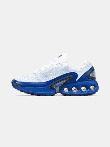 Nike Air Max DN White Blue 17452-Синій-37 фото